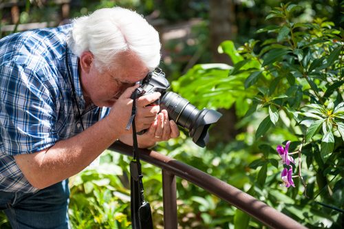 person taking photo of flower