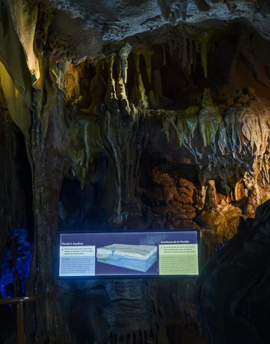 Water Shapes Florida cave