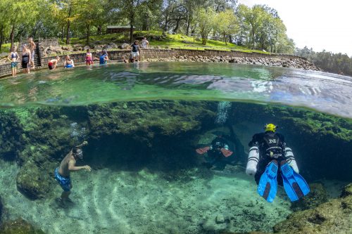people swimming in a spring