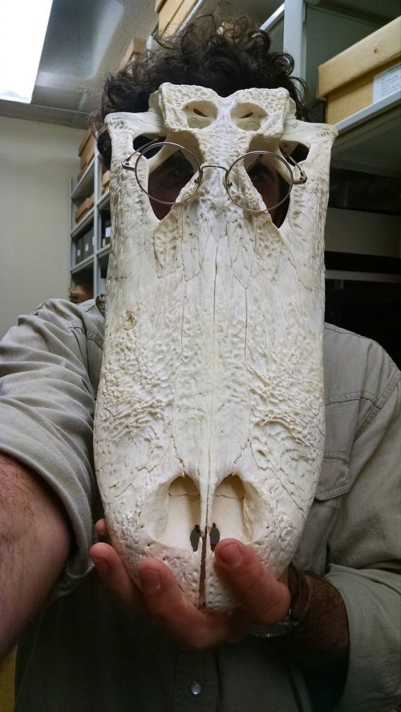 MuseumSelfieDay 2017, Josh Goodwin, zooarchaeology