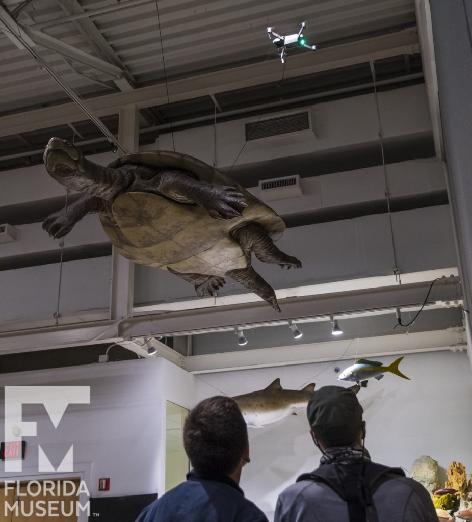 Drone filming turtle sculpture