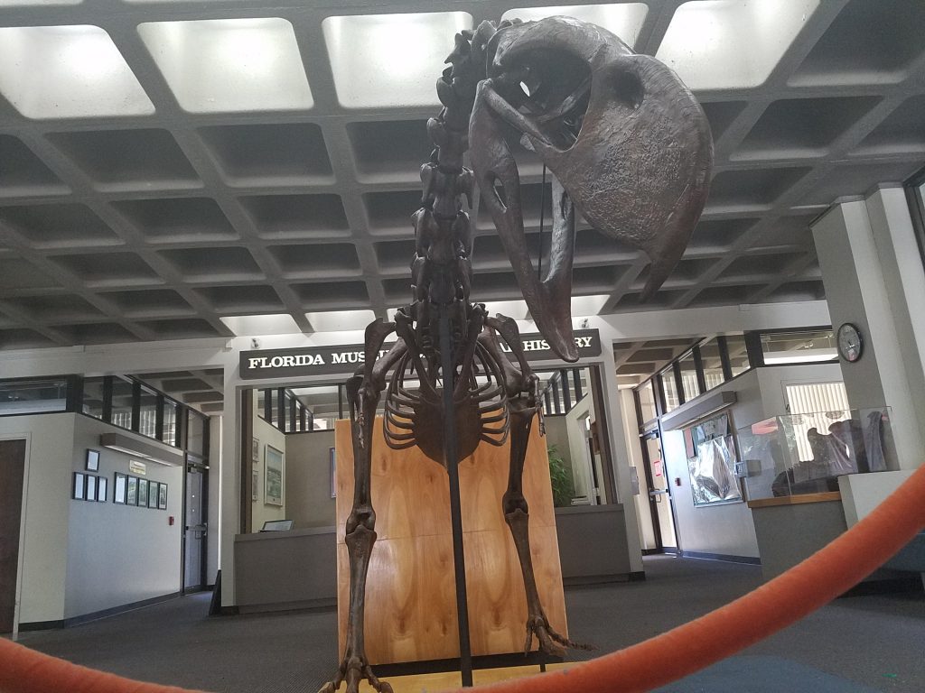 terror bird in lobby