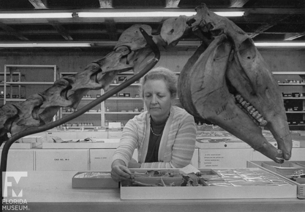 scientists examines bones