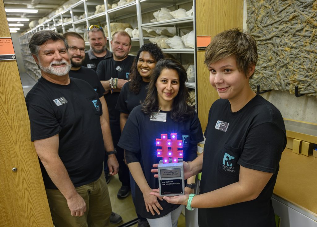 invert paleo collection team