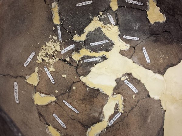 ceramic vessel pieced together