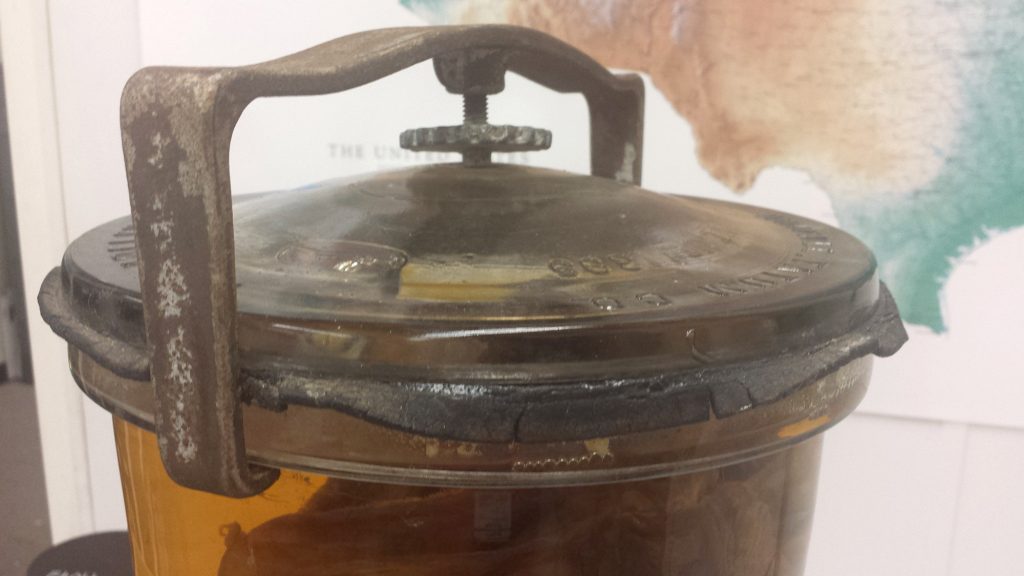 large metal and rubber seal at top of specimen jar