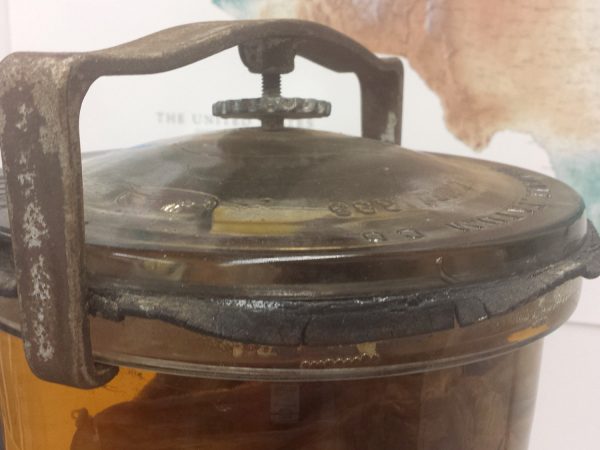 large metal and rubber seal at top of specimen jar