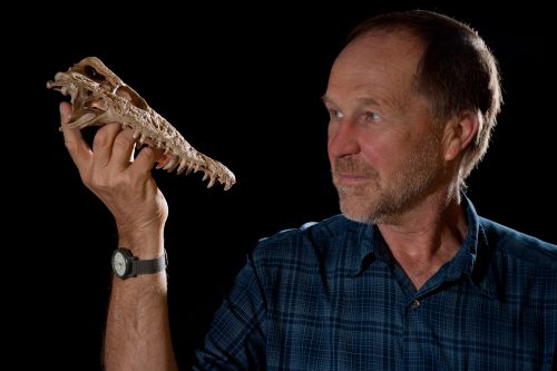 scientist holding fossil crocodile skull