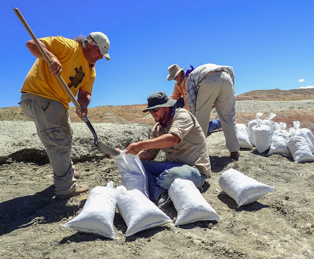 four men filling bags with dirt from a fossil site