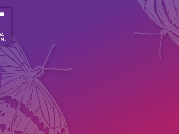 purple butterfly graphic