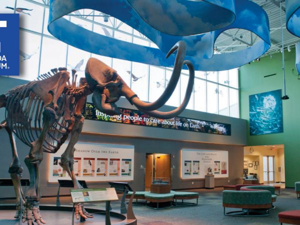 photograph of museum lobby with logo in the corner