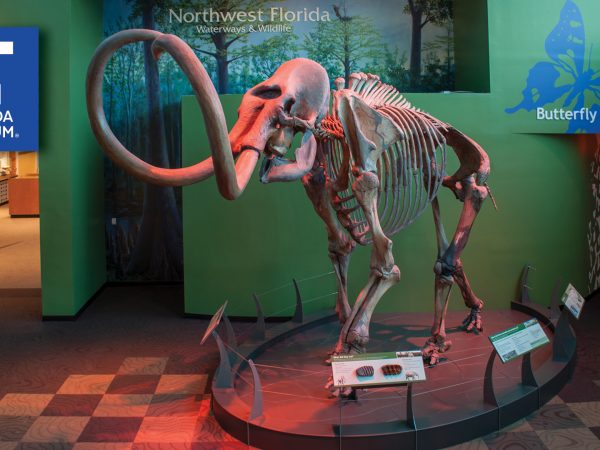 photograph of museum lobby with logo in the corner