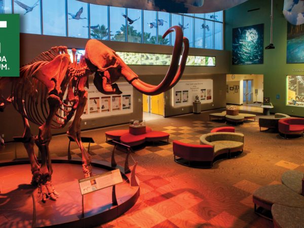 photograph of museum lobby with logo in the corner