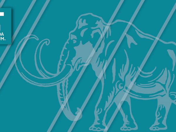 blue graphic with mammoth outline and museum logo in corner