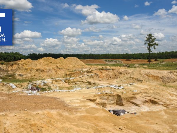 landscape showing dirt and excavated pit with Florida Museum logo