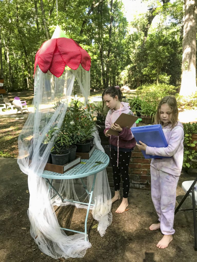 Two children with clipboards looking at milkweed plants with monarch caterpillars.