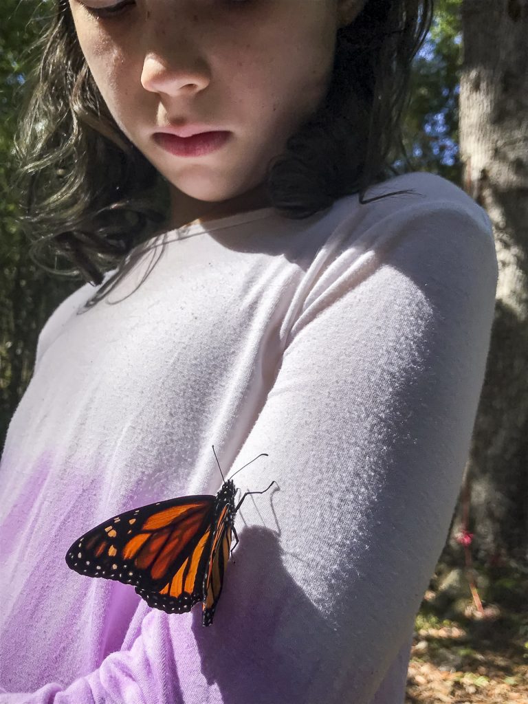A monarch butterfly on a child's arm.