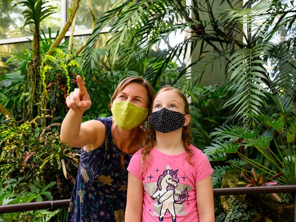 two people wearing masks in the Rainforest exhibit