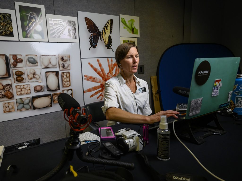 Kristen Grace using a computer in a classroom at the museum to teach virtually.