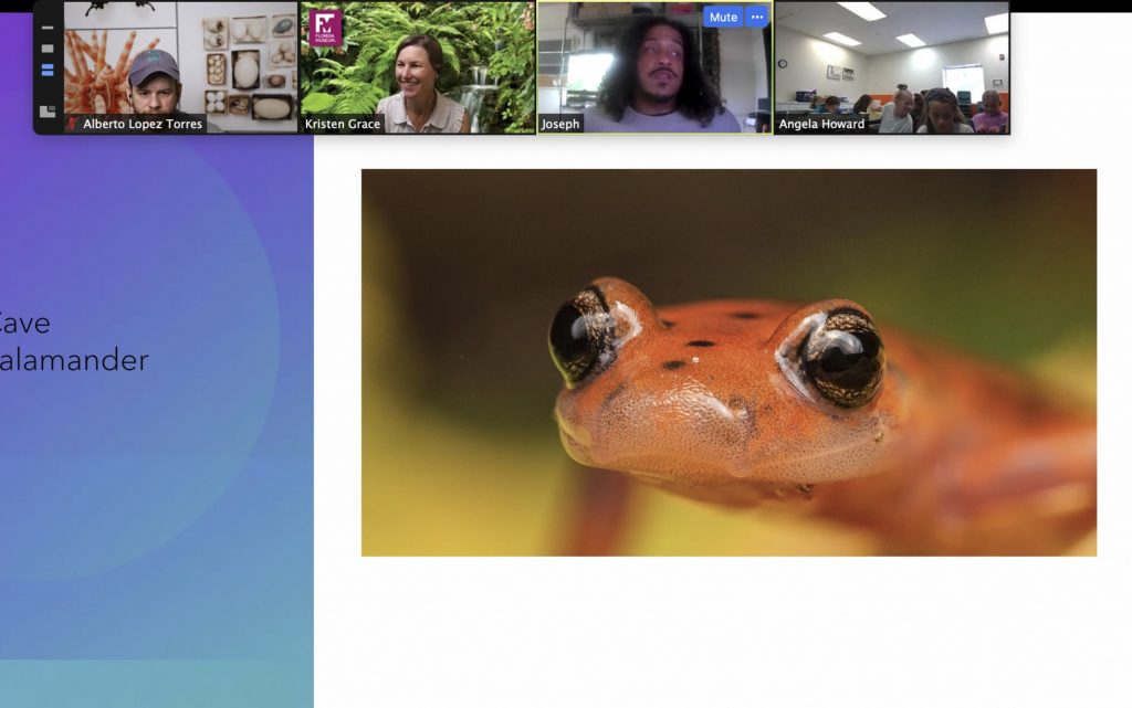 A screen shot of a salamander taken by Joseph Saunders during a Zoom session of photo camp.