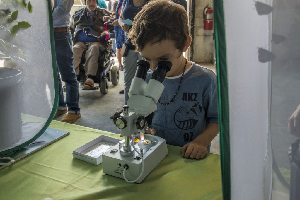 child looking into a microscope at an event