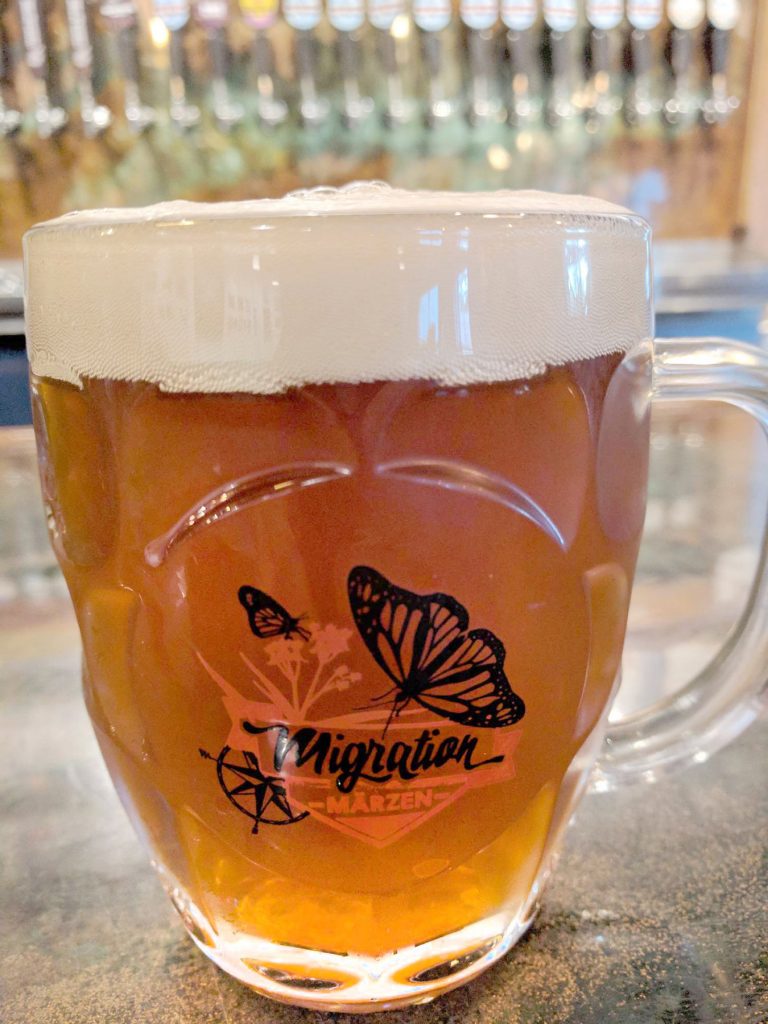 Glass beer mug with the Migration Marze logo and filled with beer