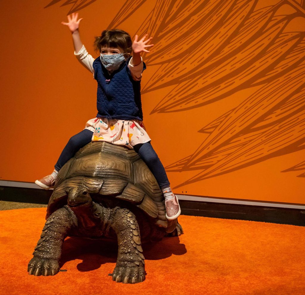 child with her hands raised sits on tortoise statue in the survival of the slowest exhibit