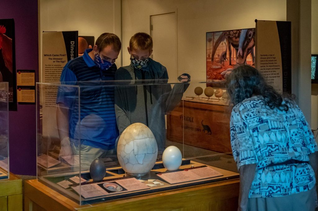 masked people look into a display containing dionosaur eggs in the Tiny Tinan exhibit