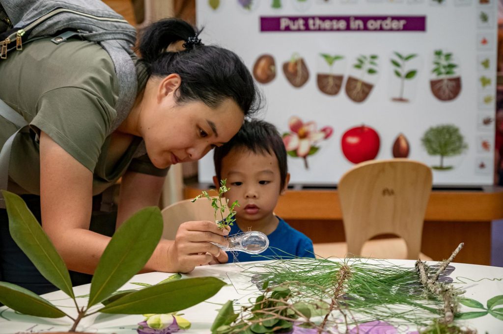 adult using a magnifying glass to show a child a close-up look at plants