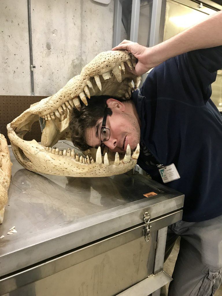 Leroy selfie with head in jaws of alligator specimen