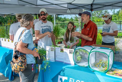 a long table is set with display cards featuring information on native plants. Jaret Daniels speaks speaks with a visitor holding a potted plant. Several people behind the table are wearing pollinator palooza 2023 t-shirts 