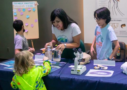 an educator holding two glass jars leans over a table set with interactive scientific equipment, models and papers with colorful illustrations and photos. A young child point to one of the glass jars the educator is holdin. 