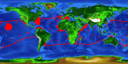 World distribution map for the bigeye thresher