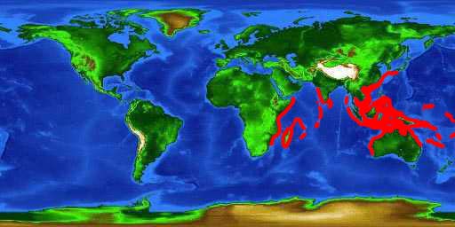 World distribution map for the coral hind