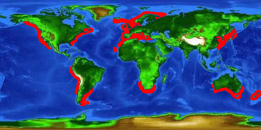 World distribution map for the basking shark