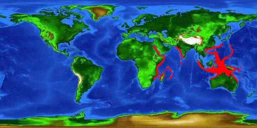 World distribution map for the humphead wrasse