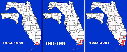 Florida distribution map for the Mayan cichlid: range expansion since introduction in 1983