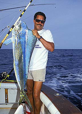 Dolphinfish weighing over 25 pounds. Photo © Doug Perrine