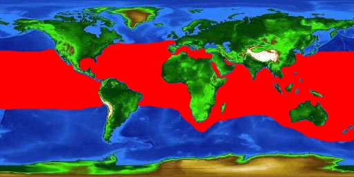 World distribution map for the dolphinfish