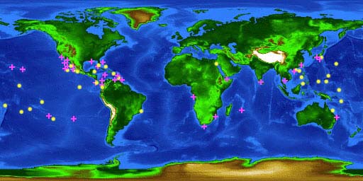 Worldwide distribution of the porcupinefish (yellow) and the balloonfish (pink).