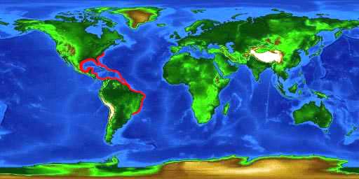 World distribution map for the sand perch