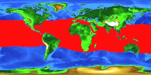 World distribution map for the sharksucker