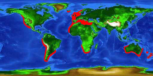World distribution map for the tope shark
