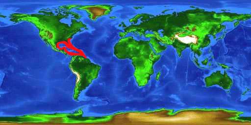 World distribution map for the bluestriped grunt