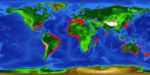 Mappa mondiale di distribuzione per lo squalo sharpnose sevengill