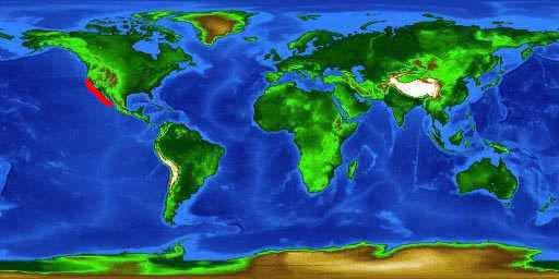 World distribution map for the horn shark