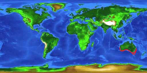 Mapa de distribución mundial del tiburón de Port Jackson