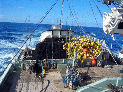 Purse seine gear used for tuna fishing. Photo © Craig Knickle