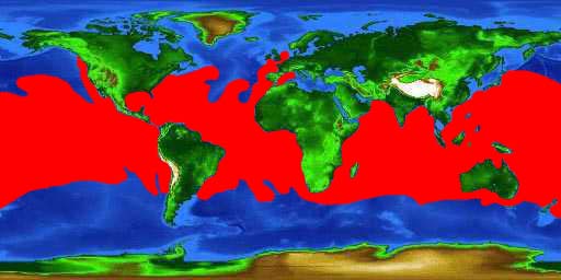 World distribution map for the skipjack tuna