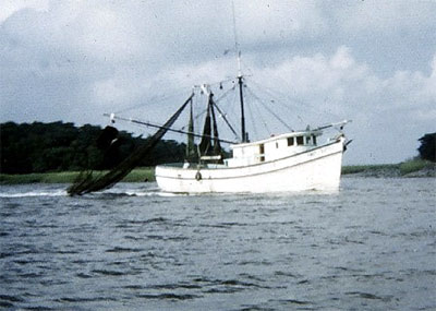 Shrimp trawlers are responsible for a large portion of the juvenile lane snapper mortality. Photo courtesy NOAA